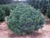 import_files_50_50e02eb4cfa911ed92676479f0997718_1e827b38d92911ed92676479f0997718